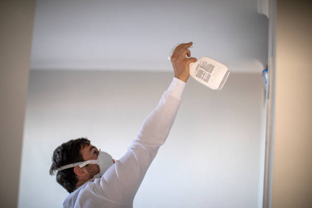Trusted Mount Zion, GA Mold Removal Experts
