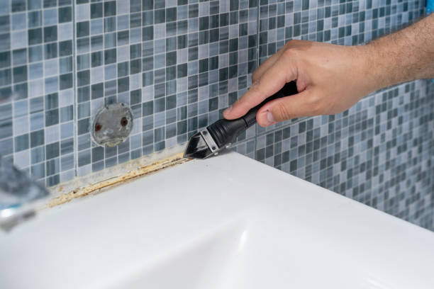 Best Certified Mold Removal  in Mount Zion, GA