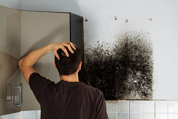 Best Professional Mold Removal  in Mount Zion, GA