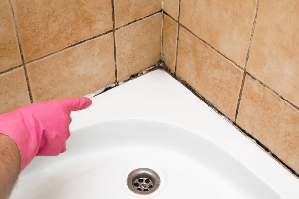 Best Fast Mold Removal  in Mount Zion, GA